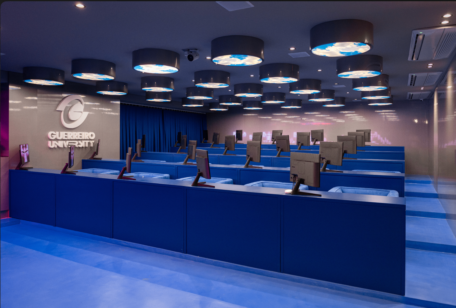 Guerreiro University